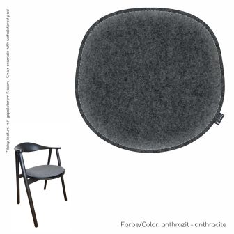Eco FIlz Kissen geeignet für Bolia Swing