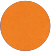 apricot.png